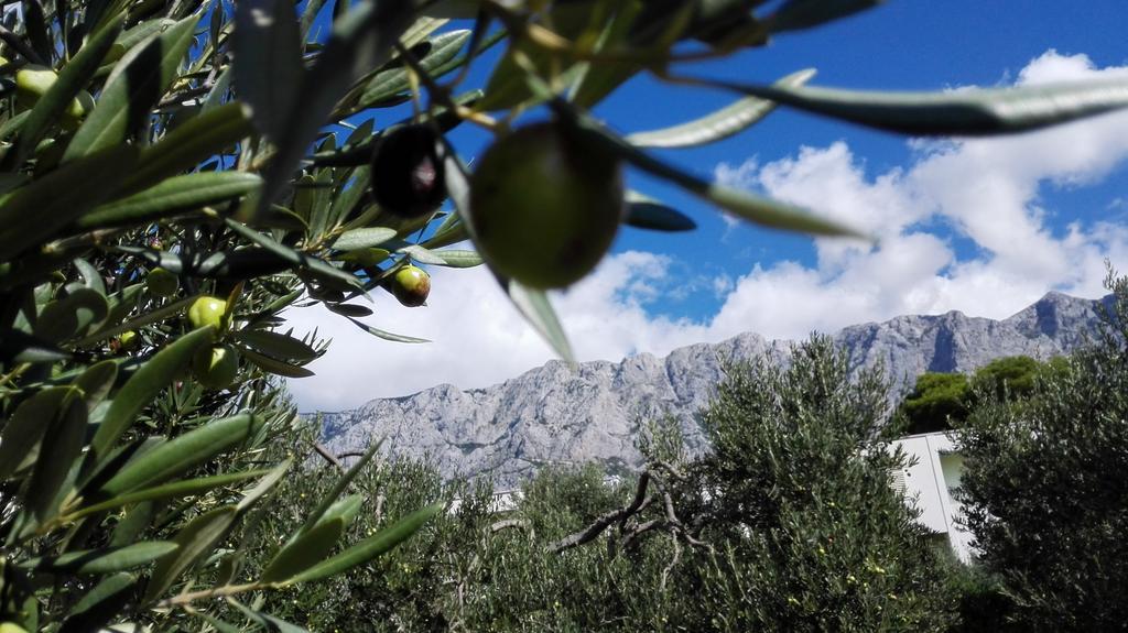 Apartmani Sabic A6 Makarska Dış mekan fotoğraf
